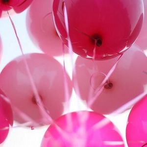 Meet your Posher, Dani